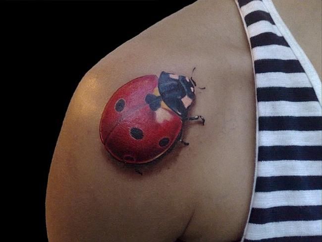 What does a ladybug symbolize?