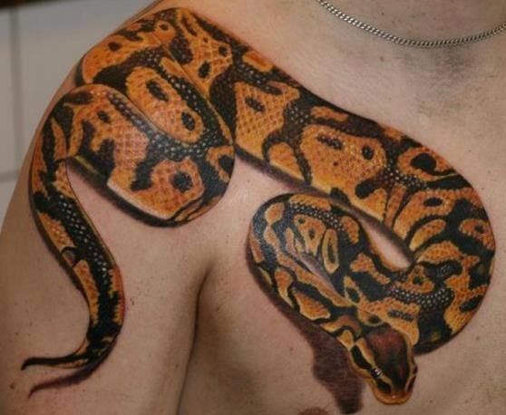 Snake Tattoo Meanings and Interpretations - wide 2