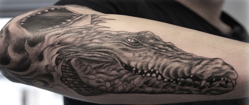Aggregate 75 alligator skull tattoo latest  thtantai2