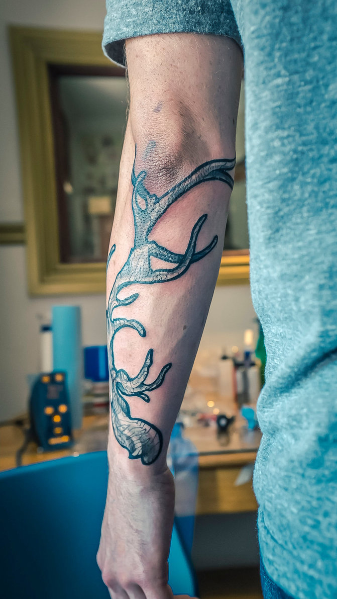 Tattoo uploaded by Xavier  Antler tattoo by Jean La Roux JeanLaRoux  antler horn deer blackandgrey animal  Tattoodo