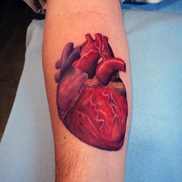 Anatomical Heart Tattoos  POPSUGAR Beauty UK