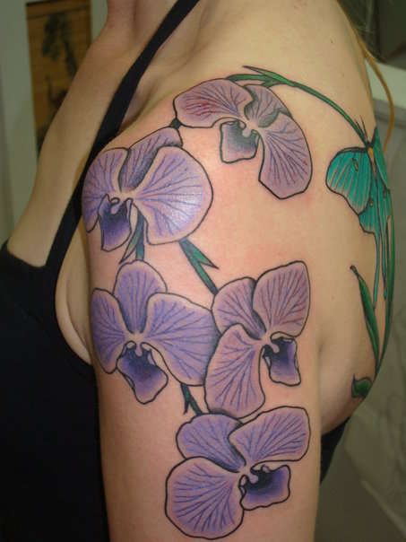 According to Chinese folklore, the morning glory flower symbolizes the only...