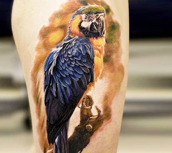 42 Parrot Tattoos With Exotic and Symbolic Meanings TattoosWin