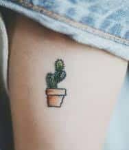 Cactus Tattoo On Leg