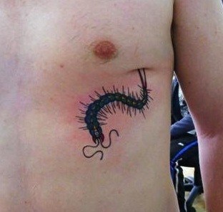 Centipede Tattoo For Men On Stomach