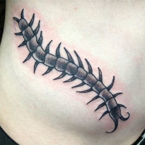 Centipede Tattoo For Men On Stomach