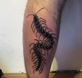 Centipede Tattoo For Men On Leg