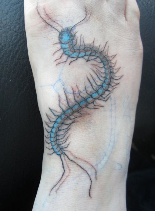 Centipede Tattoo On Leg