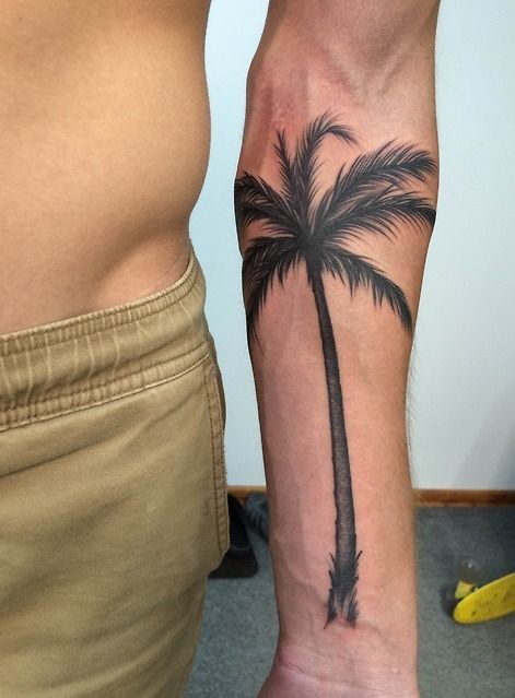 Palm Tree Tattoo On Forearm Of A Man