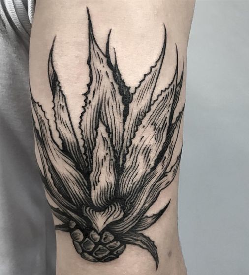 Agave Tattoo Meaning Cool Designs Tattooswin,Wood Window Muntins