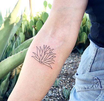 Small Agave Tattoo on hand.