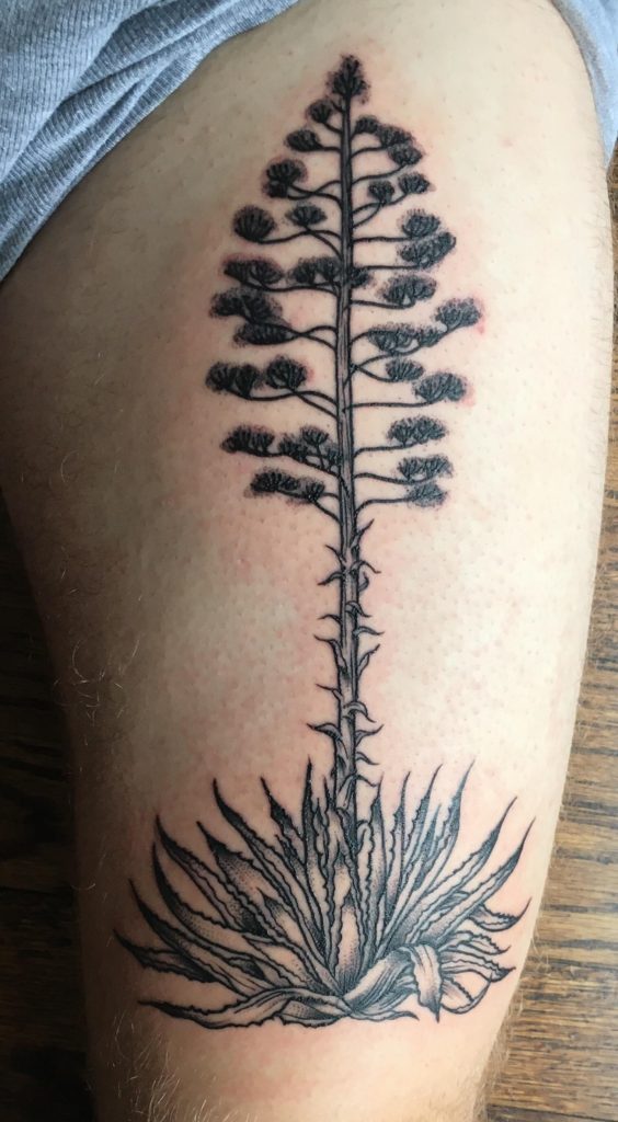 Agave full bloom Tattoo on thigh.