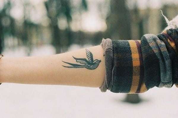 Swallow Tattoo on Arm