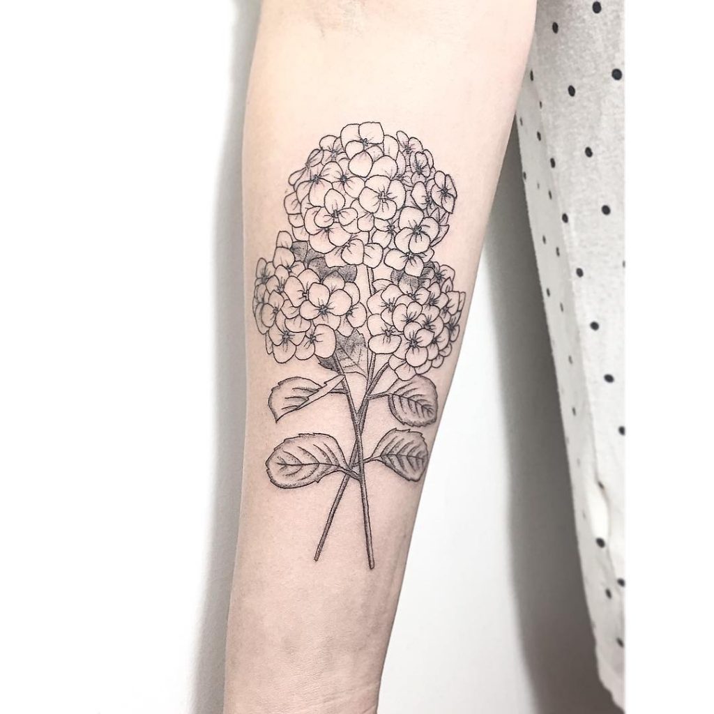 20 Splendid Hydrangea Tattoo Designs  Page 2 of 2  TattooBloq  Hydrangea  tattoo Minimalist tattoo Trendy tattoos